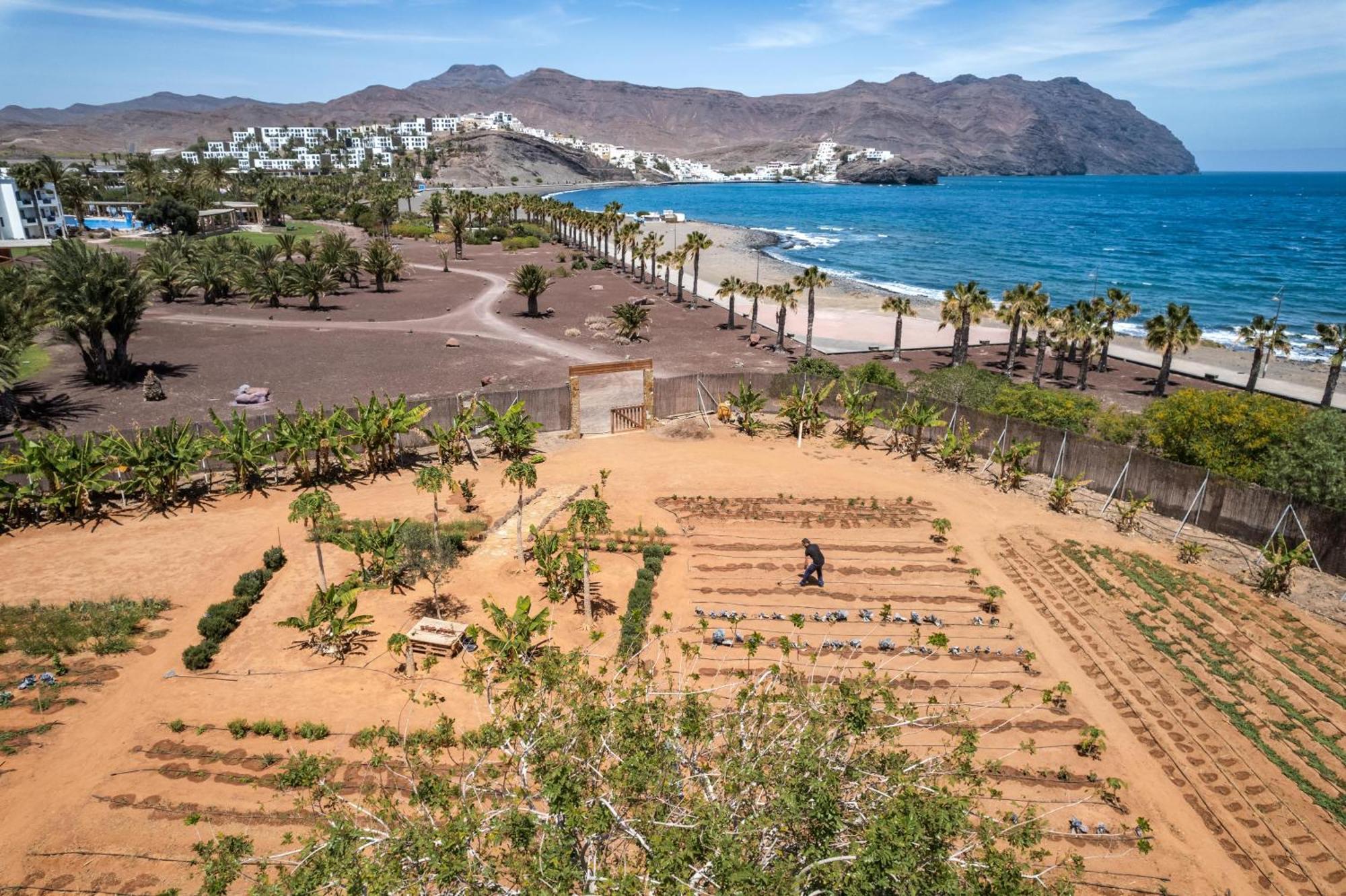 Playitas Villas - Sports Resort Las Playitas Екстериор снимка